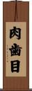 肉歯目 Scroll