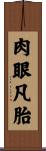 肉眼凡胎 Scroll
