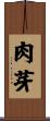 肉芽 Scroll