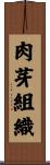 肉芽組織 Scroll