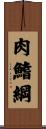 肉鰭綱 Scroll