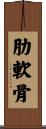 肋軟骨 Scroll