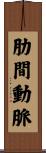 肋間動脈 Scroll