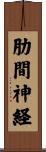 肋間神経 Scroll