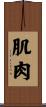 肌肉 Scroll
