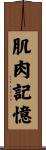 肌肉記憶 Scroll