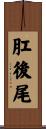 肛後尾 Scroll