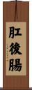 肛後腸 Scroll