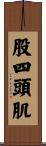 股四頭肌 Scroll