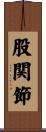 股関節 Scroll