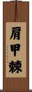 肩甲棘 Scroll