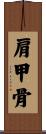 肩甲骨 Scroll