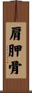 肩胛骨 Scroll