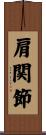 肩関節 Scroll