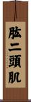 肱二頭肌 Scroll