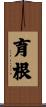 育根 Scroll