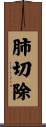 肺切除 Scroll