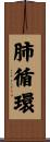肺循環 Scroll