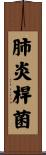 肺炎桿菌 Scroll