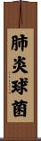 肺炎球菌 Scroll