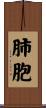 肺胞 Scroll