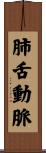 肺舌動脈 Scroll