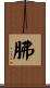 胇 Scroll