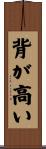 背が高い Scroll