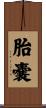 胎嚢 Scroll