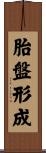 胎盤形成 Scroll