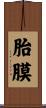 胎膜 Scroll