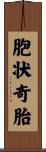 胞状奇胎 Scroll