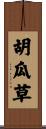 胡瓜草 Scroll