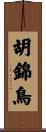 胡錦鳥 Scroll