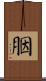 胭 Scroll