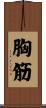 胸筋 Scroll