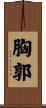 胸郭 Scroll