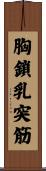 胸鎖乳突筋 Scroll