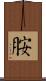 胺 Scroll