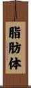 脂肪体 Scroll