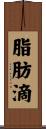 脂肪滴 Scroll