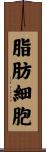 脂肪細胞 Scroll