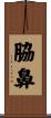 脇鼻 Scroll