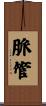 脈管 Scroll