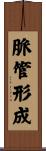 脈管形成 Scroll
