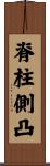 脊柱側凸 Scroll