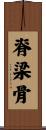 脊梁骨 Scroll