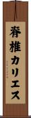 脊椎カリエス Scroll