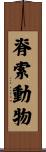 脊索動物 Scroll