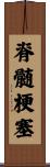 脊髄梗塞 Scroll